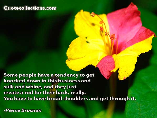 Pierce Brosnan Quotes5
